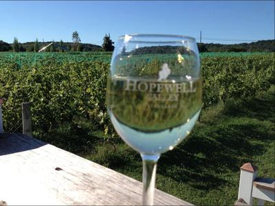 The vineyard through the glass!